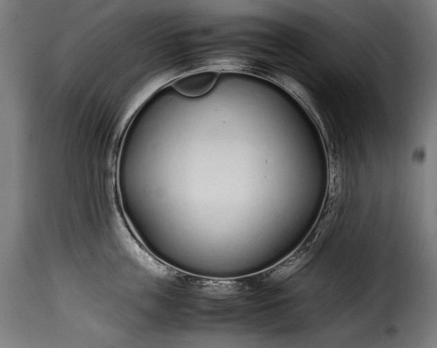 X0000115620859200911241622