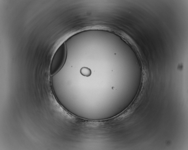 X0000115620860200911241622