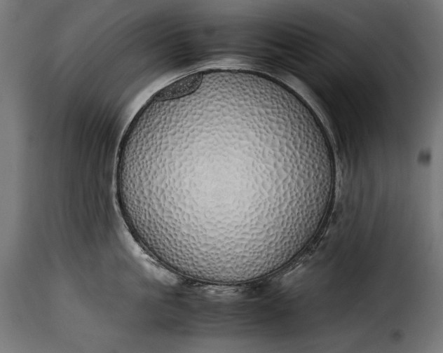 X0000115620861200911241622