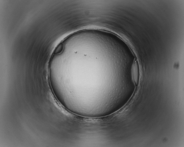 X0000115620862200911241622