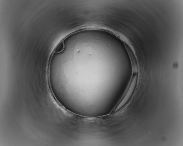 X0000115620863200911241622