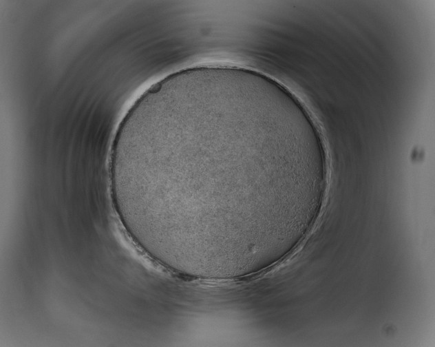 X0000115620864200911241622