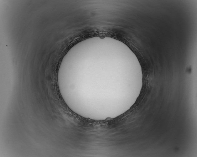 X0000115620865200911241622