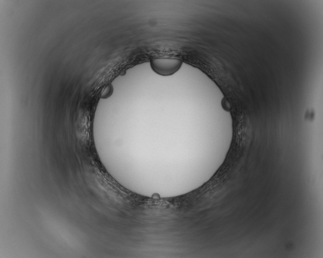 X0000115620866200911241622