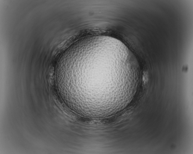 X0000115620867200911241622