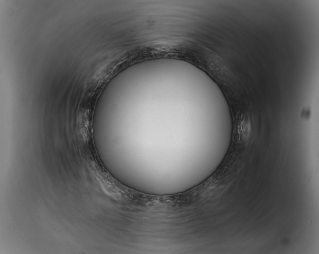 X0000115620868200911241622