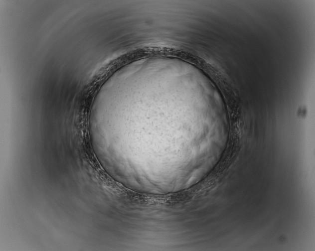 X0000115620870200911241622