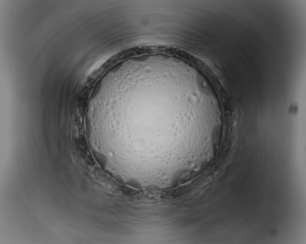 X0000115620871200911241622