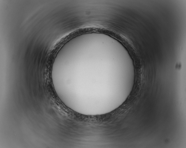 X0000115620872200911241622