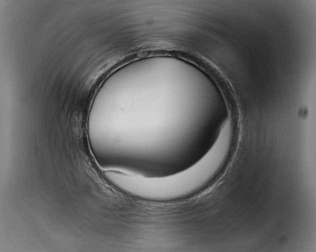 X0000115620873200911241622