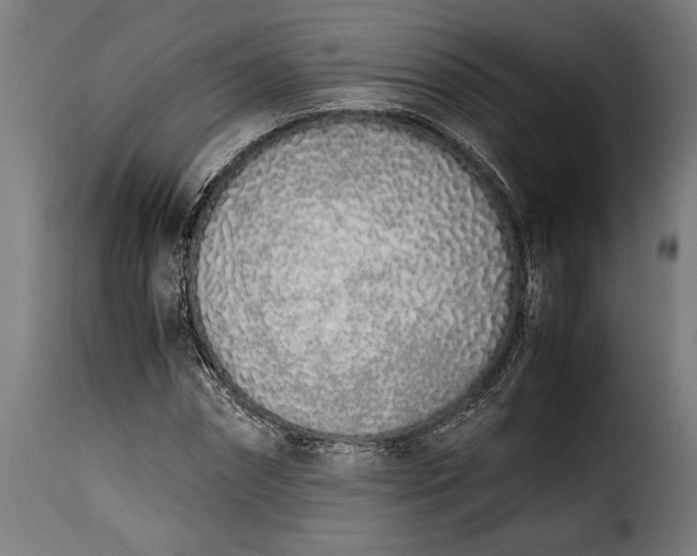 X0000115620874200911241622