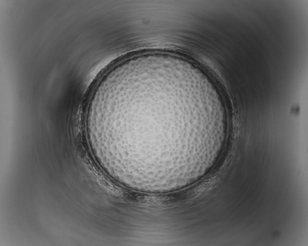 X0000115620875200911241622