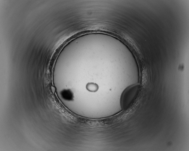 X0000115620876200911241622