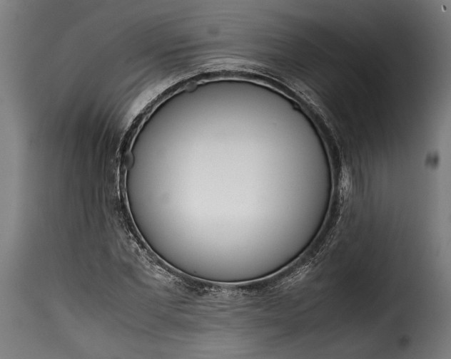 X0000115620877200911241622