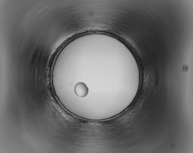 X0000115620878200911241622