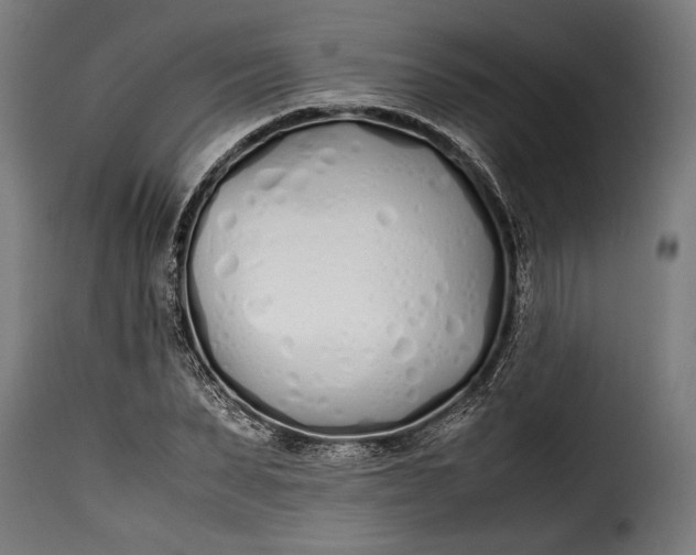 X0000115620879200911241622