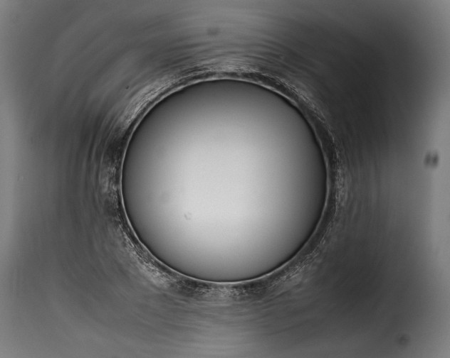 X0000115620881200911241621