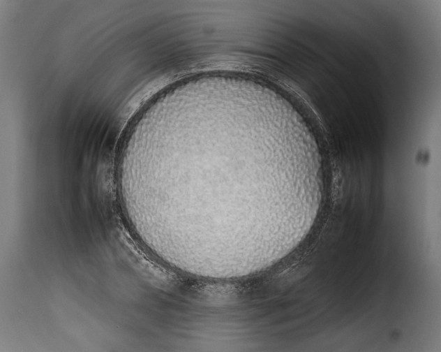 X0000115620882200911241621