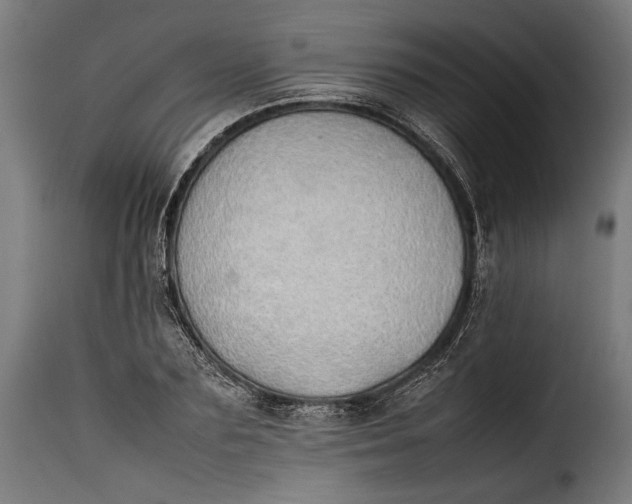 X0000115620883200911241621