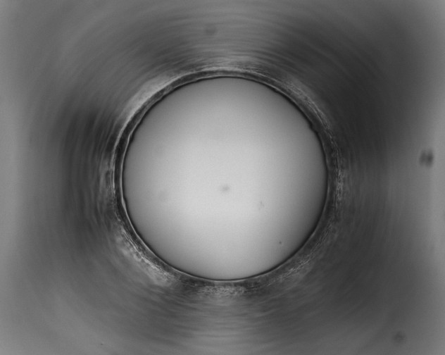 X0000115620884200911241621