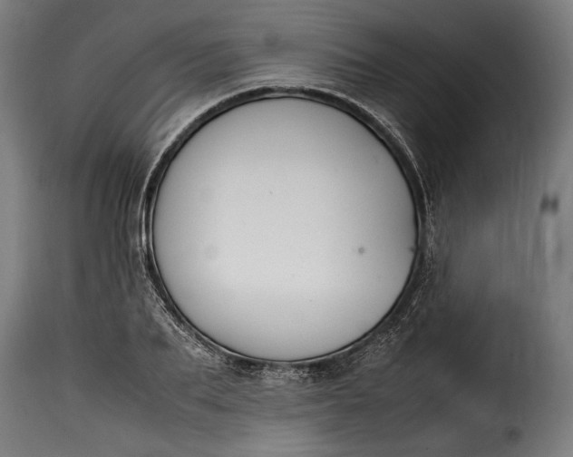 X0000115620887200911241621