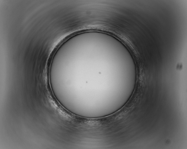 X0000115620888200911241621