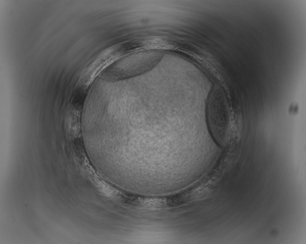 X0000115620889200911241621