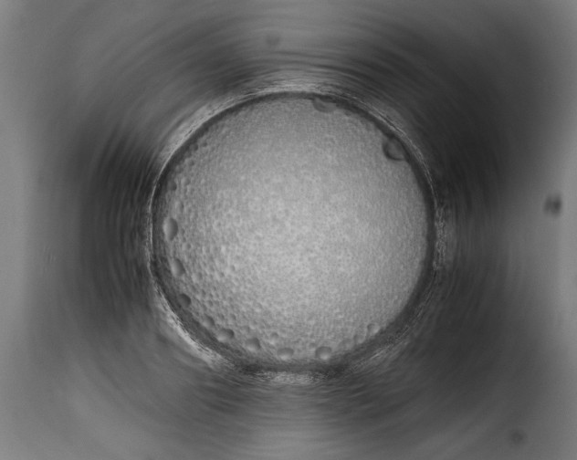 X0000115620890200911241621