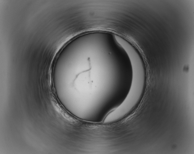 X0000115620892200911241621