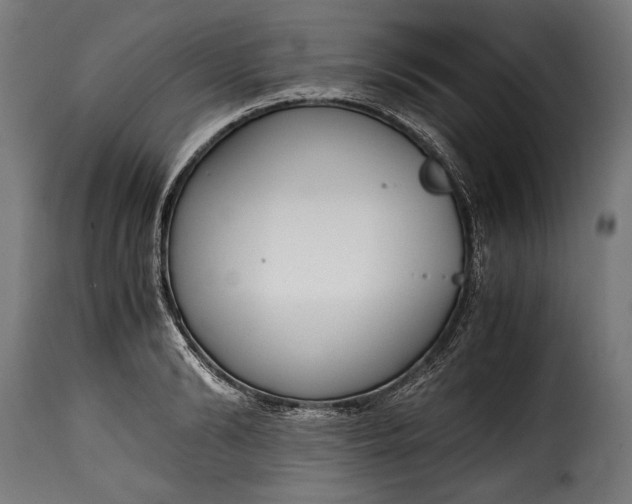 X0000115620894200911241621