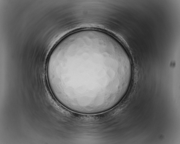 X0000115620895200911241621