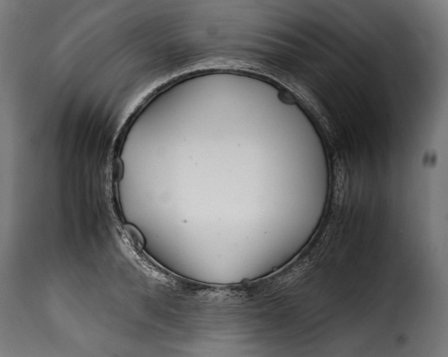 X0000115620896200911241621