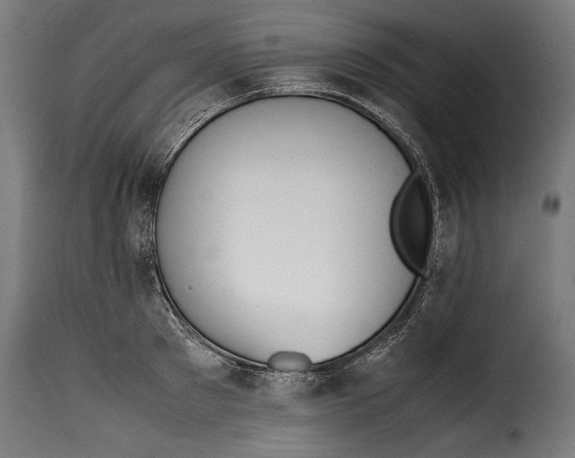 X0000115620897200911241621