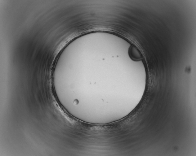 X0000115620898200911241621