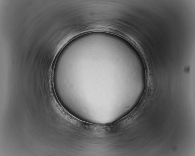 X0000115620899200911241621