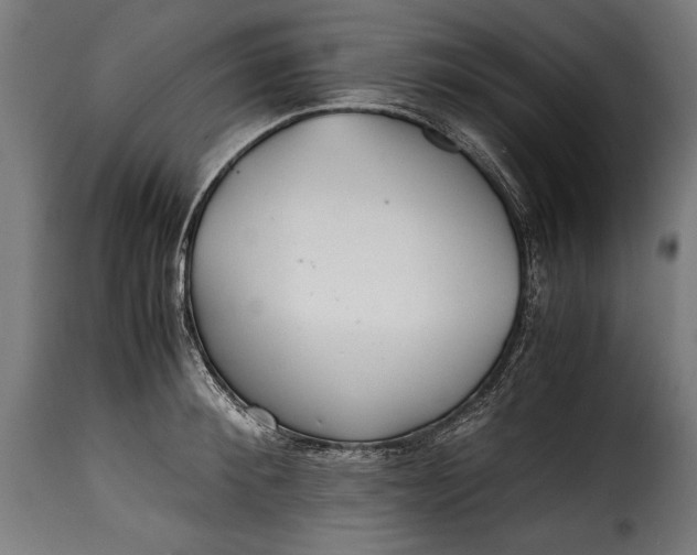 X0000115620900200911241621