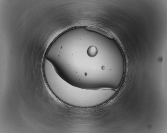 X0000115620901200911241621