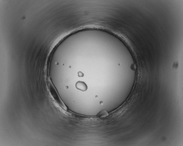 X0000115620902200911241621