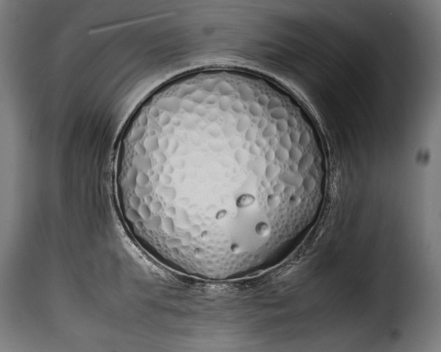 X0000115620903200911241621