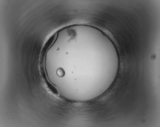 X0000115620904200911241621