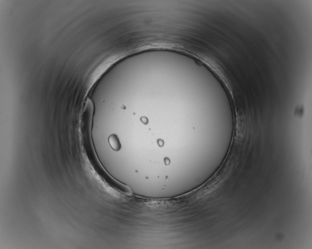 X0000115620906200911241621