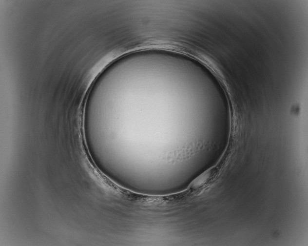 X0000115620907200911241621