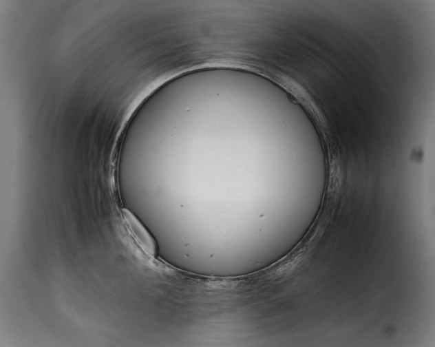 X0000115620908200911241621