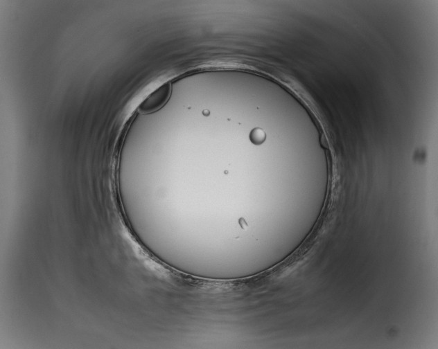 X0000115620909200911241621