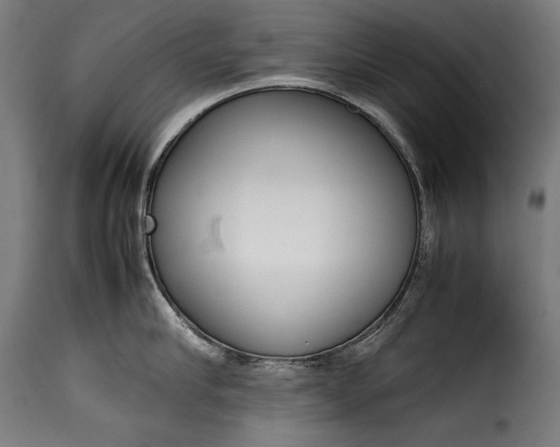 X0000115620910200911241621