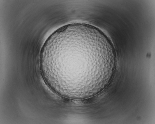 X0000115620911200911241621