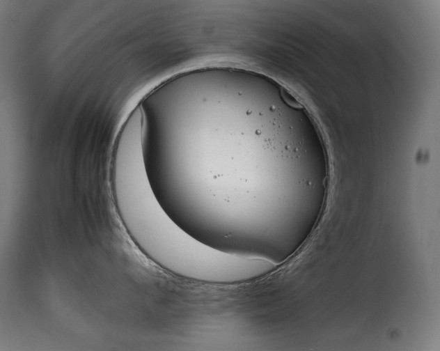 X0000115620912200911241621