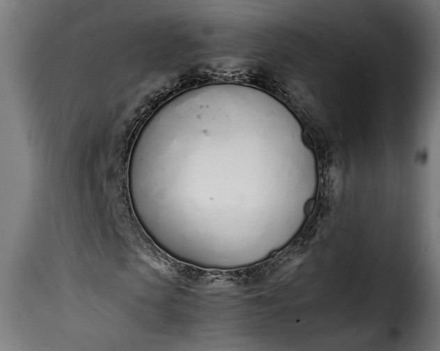 X0000115620913200911241620