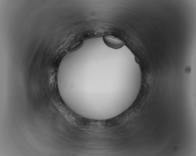 X0000115620914200911241620