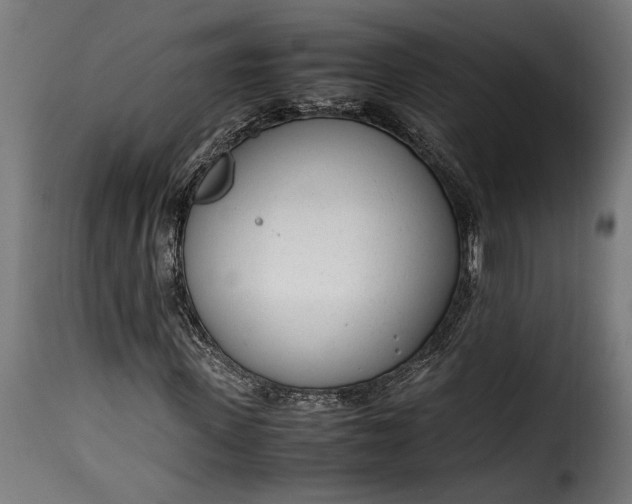 X0000115620915200911241620